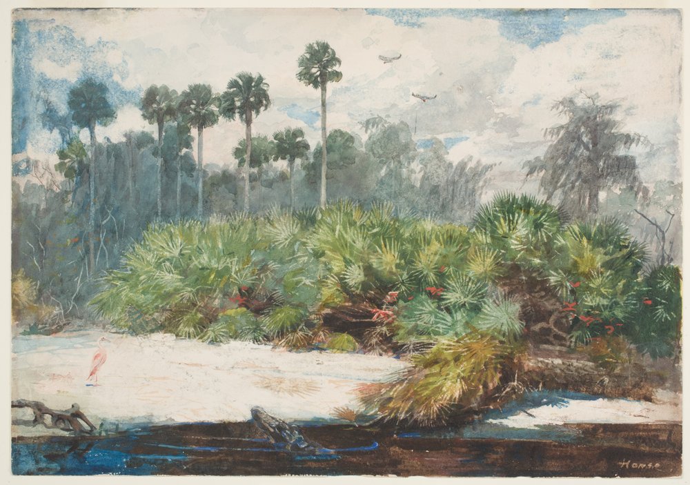 In einem Dschungel in Florida von Winslow Homer