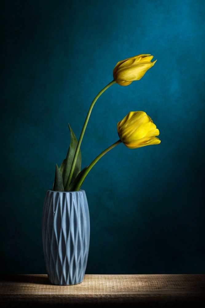 Elegante gelbe Tulpen von Adriana Vitale