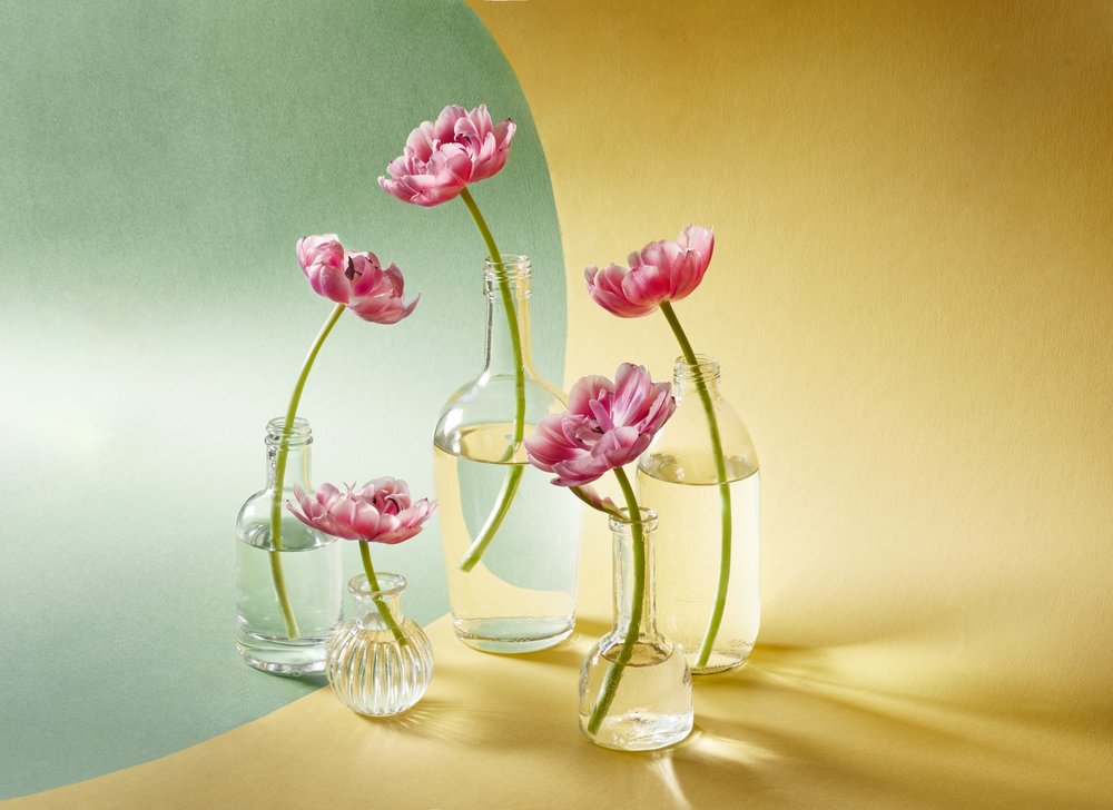Weiche Rosa Tulpen von Alena