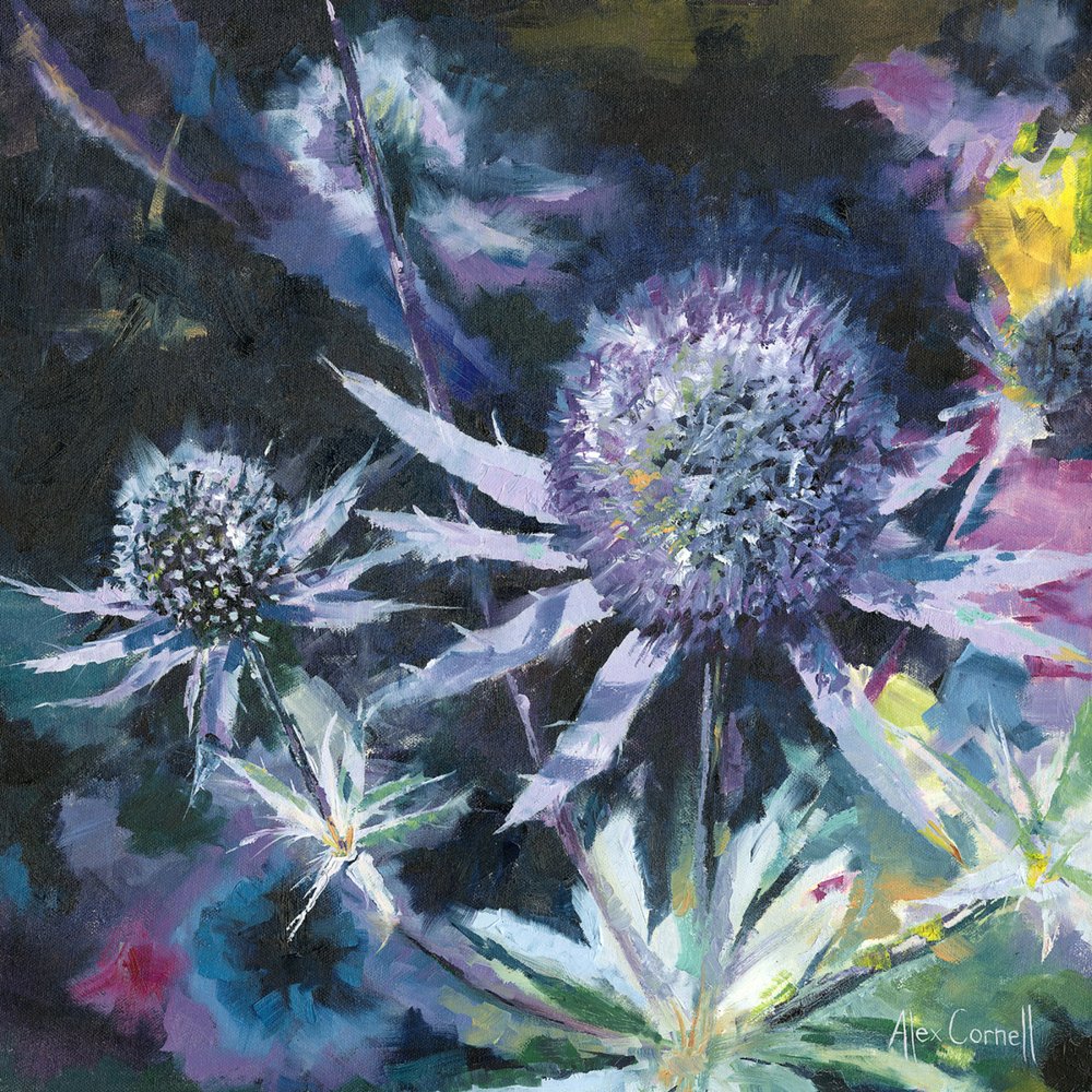 Blaue Distelblüten von Alex Cornell