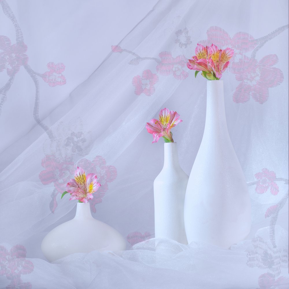 Elegante Rosa Blüten von Alice Sheng