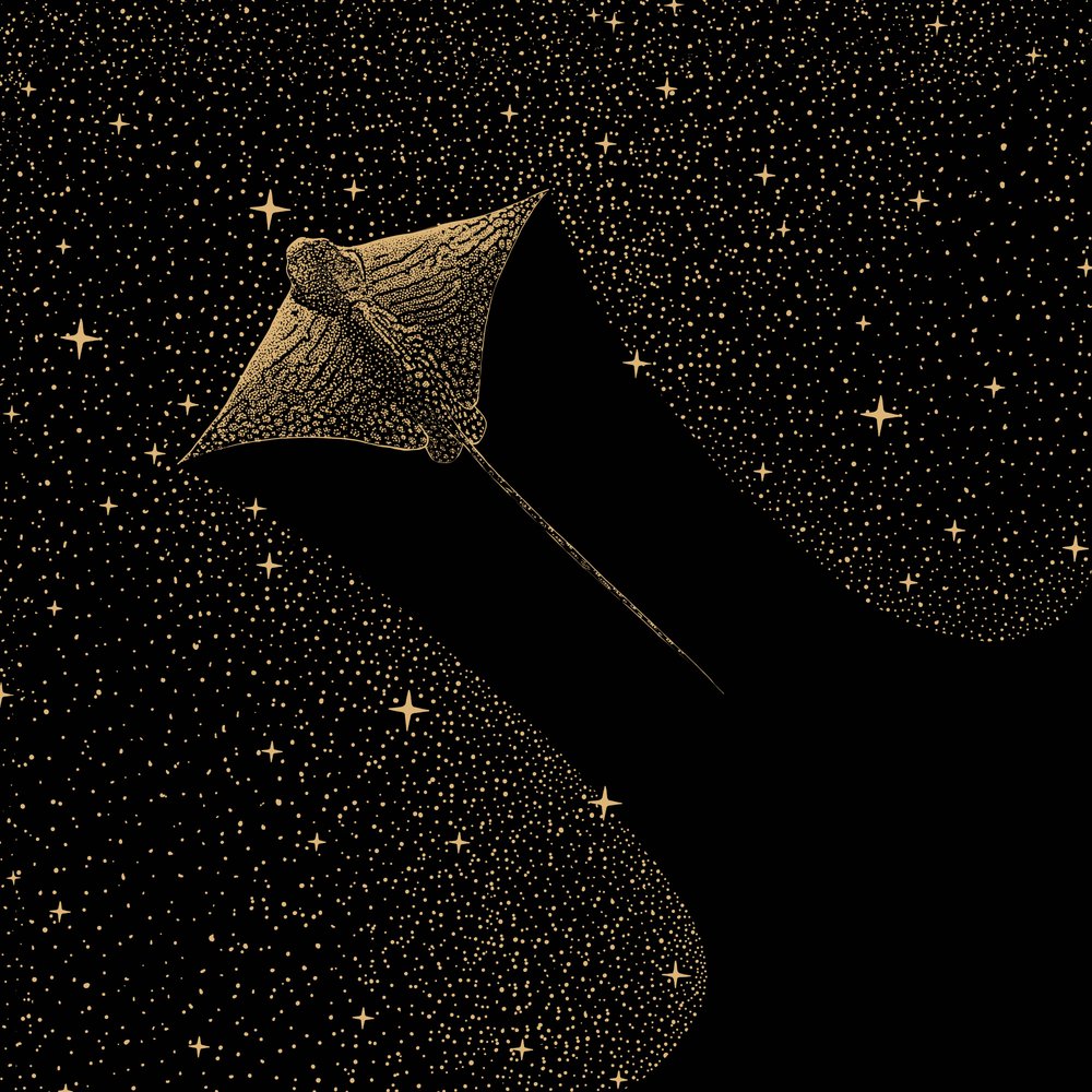 Kosmischer Adlerrochen von Alirıza ÇAKIR