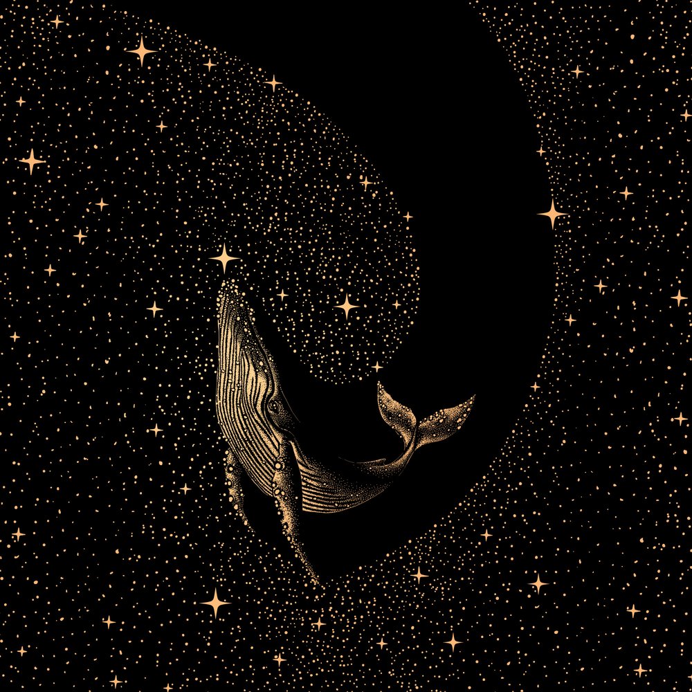 Wal unter Sternen von Alirıza ÇAKIR