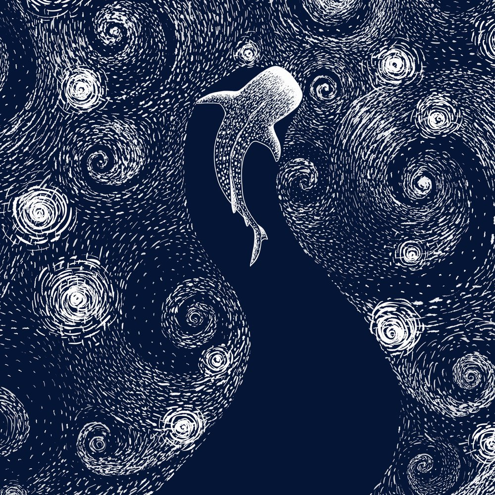 Walhai Sternenozean von Alirıza ÇAKIR