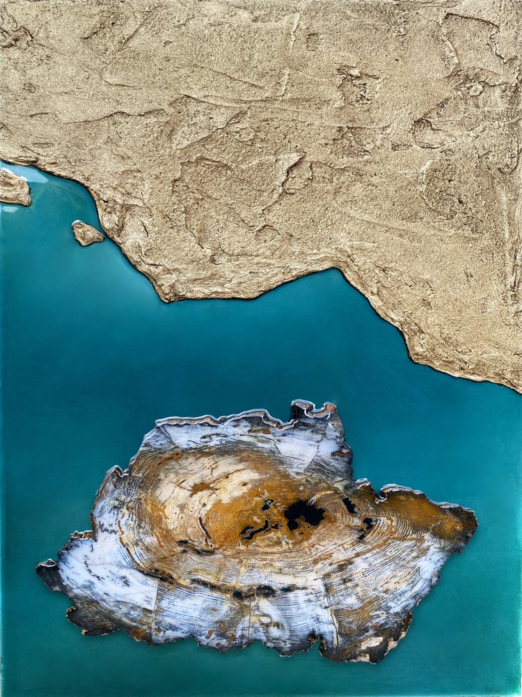 Versteinerte Inselküste von Alyson Storms