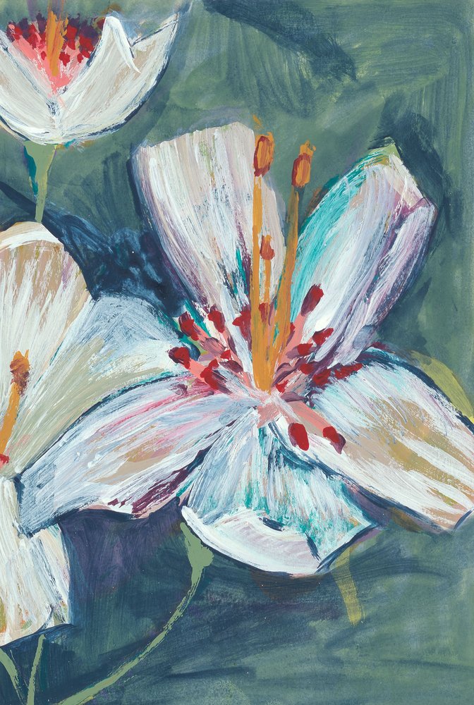 Lebendige weiße Lilienblüten von Alyssa Hamilton