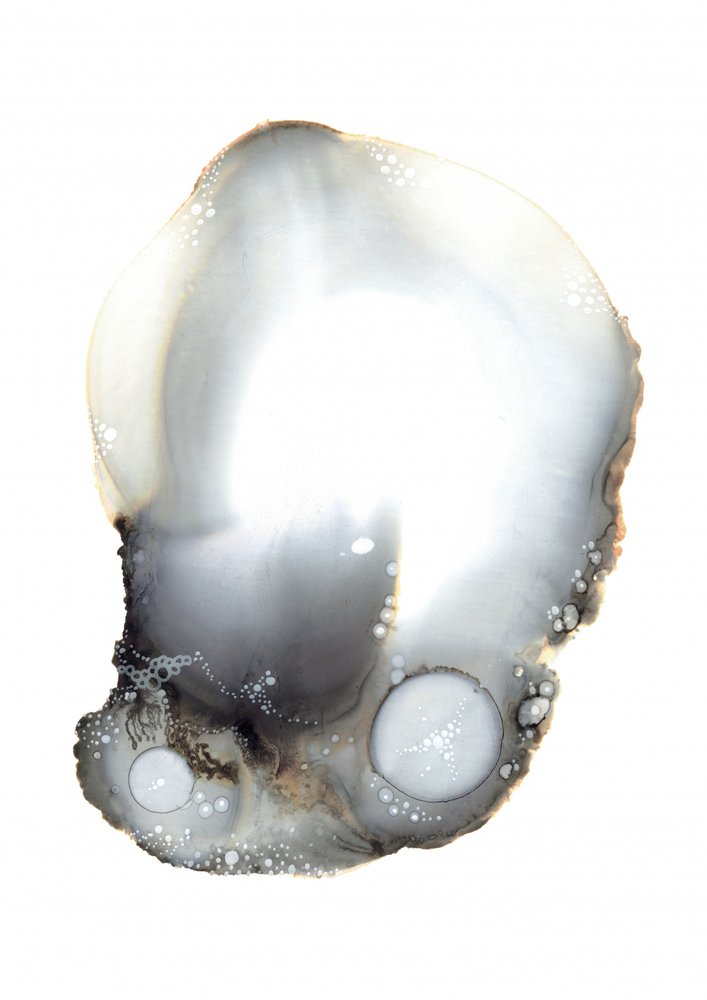 Exemplar XI von Amy Louise Baker