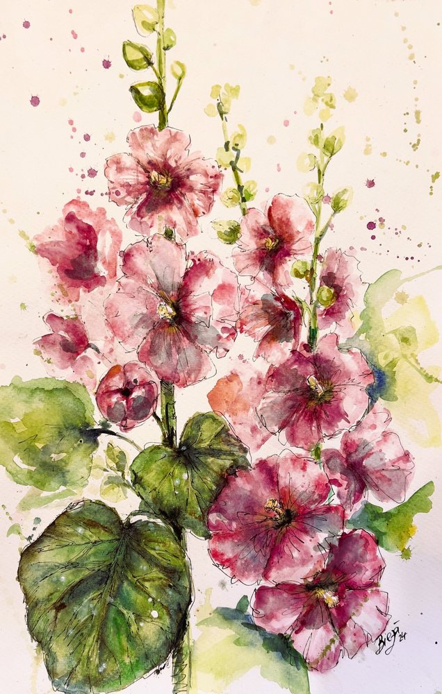 Lebendige Rosa Stockrosen von Anda Bieza