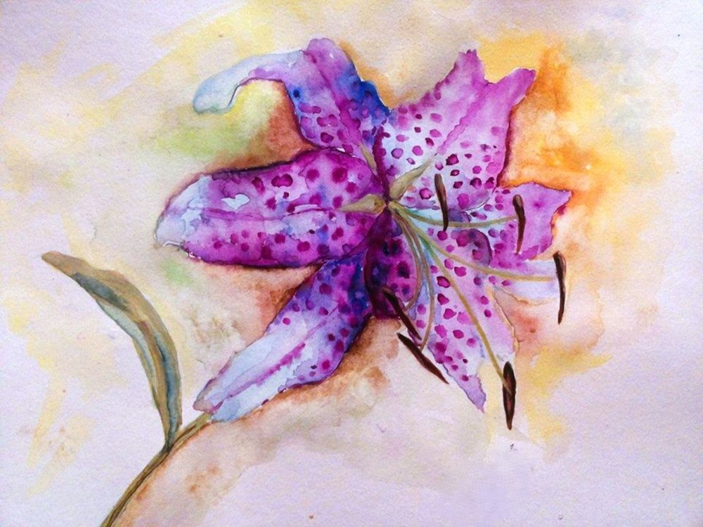 Vibrante gefleckte Lilienblüte von Anda Bieza