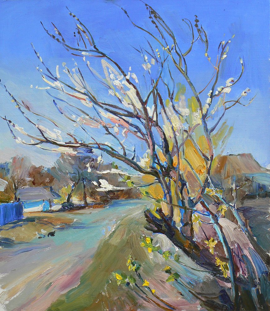 Sonnige Frühlingsdorfstraße von Andrii Kutsachenko