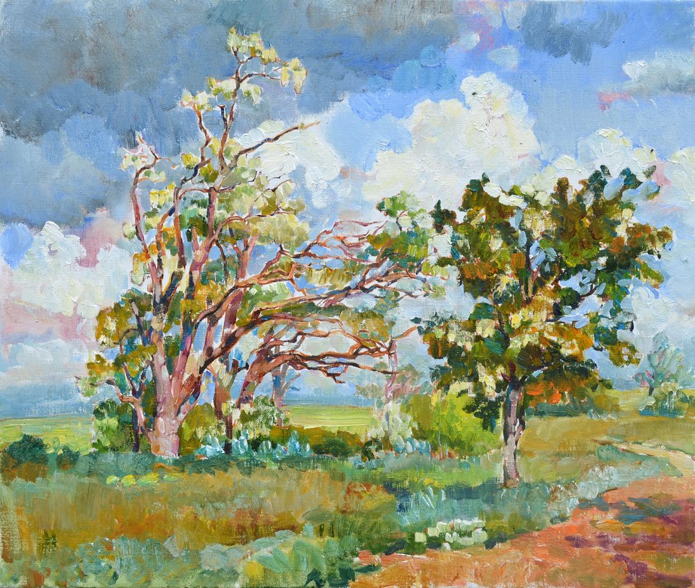 Lebhafte Bäume ländliche Landschaft von Andrii Kutsachenko