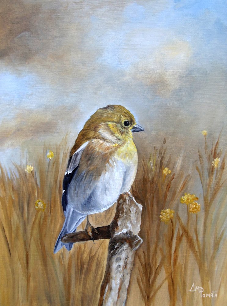 Herbstfink auf Ast von Angeles M. Pomata