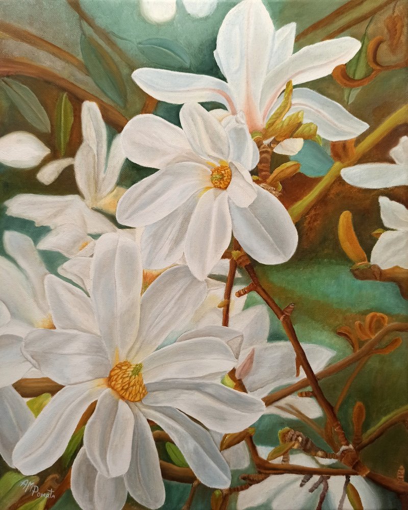 Blühende weiße Magnolie von Angeles M. Pomata