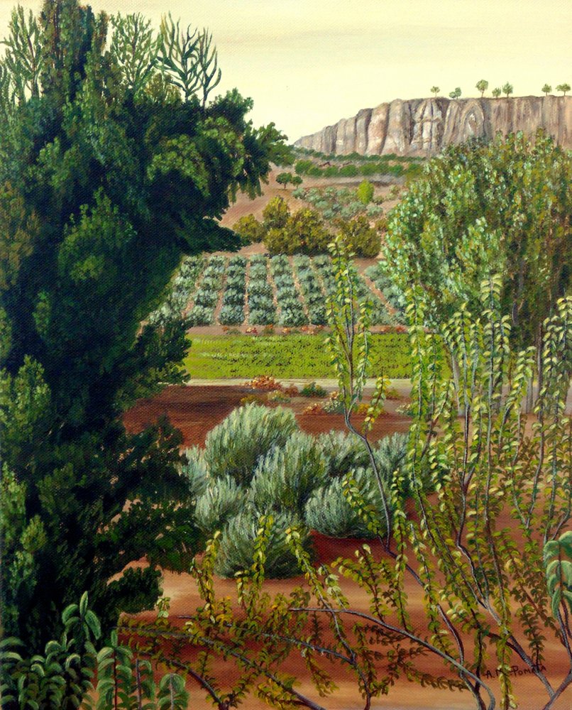 Kultiviertes Tal Klippenblick von Angeles M. Pomata