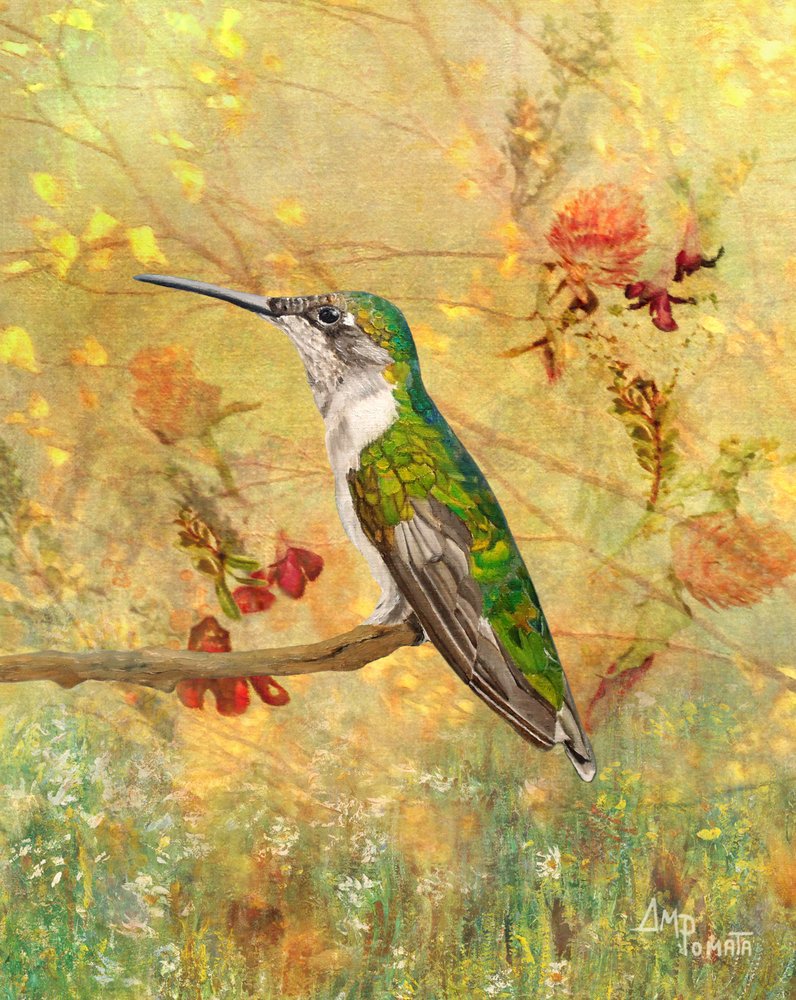 Goldener Kolibri auf Sitzplatz von Angeles M. Pomata