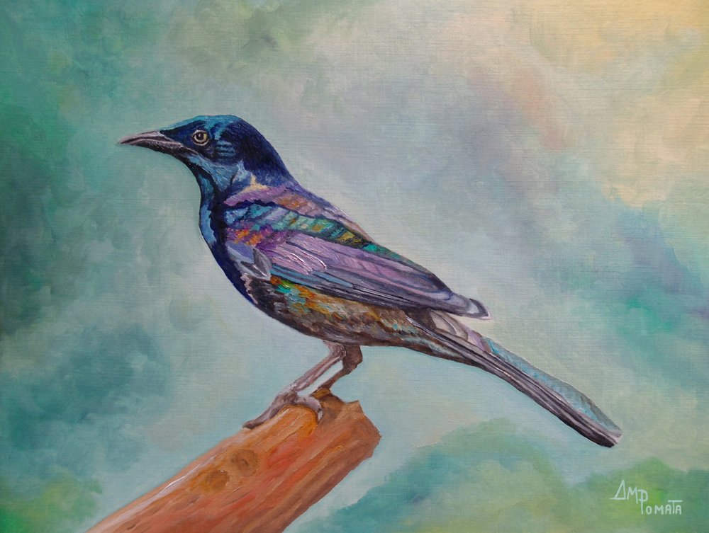 Schillernder Vogel auf Ast von Angeles M. Pomata