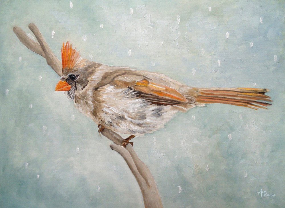 Friedlicher Winterkardinal von Angeles M. Pomata