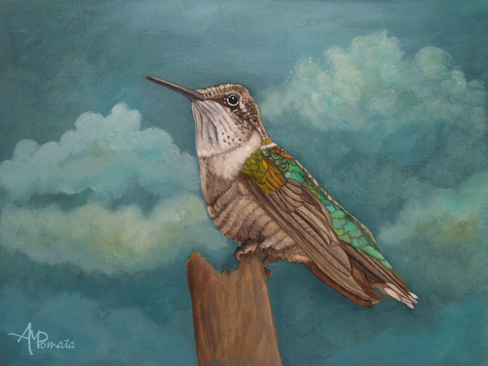 Himmelsstrebender Kolibri von Angeles M. Pomata