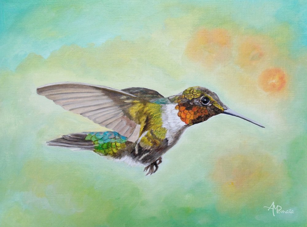 Lebendiger Kolibri im Flug von Angeles M. Pomata