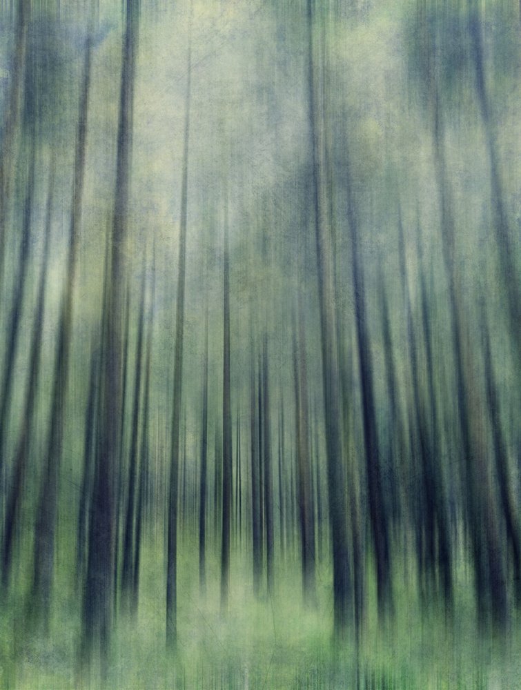 Ätherisches Waldlicht von Angelo Cerantola