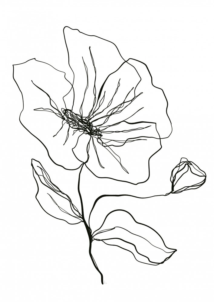 Zarte Blumenskizze von Ankie Kooi