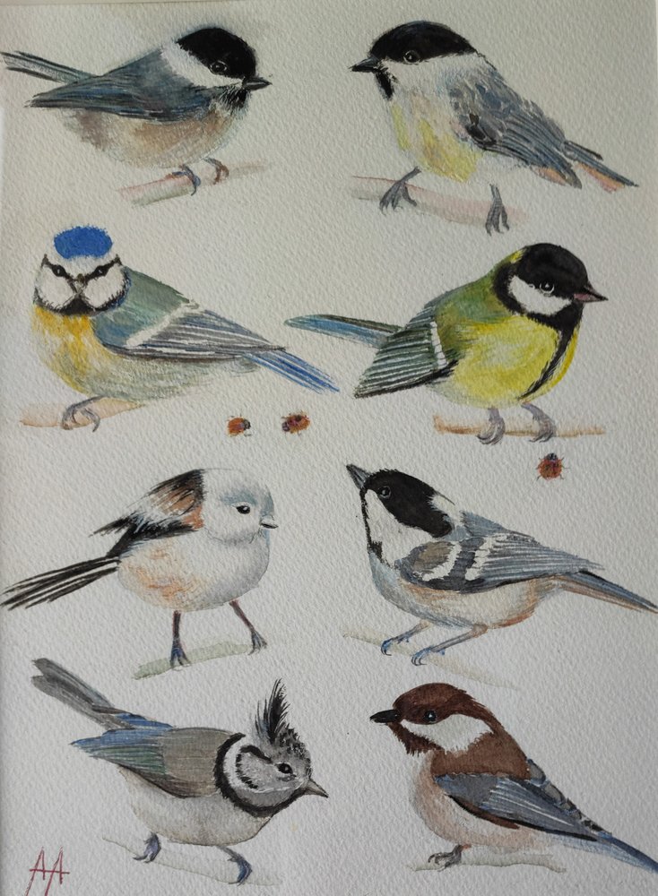 Charmante Gartenvögel von Annette Armitage