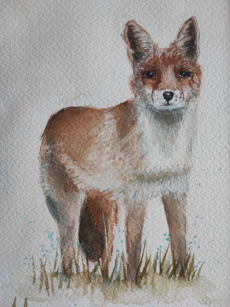 Neugieriger Rotfuchs von Annette Armitage