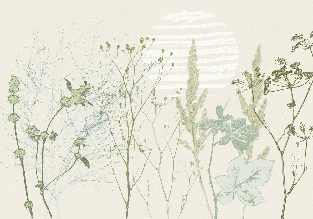 Gedämpfter botanischer Sonnenaufgang von Annick