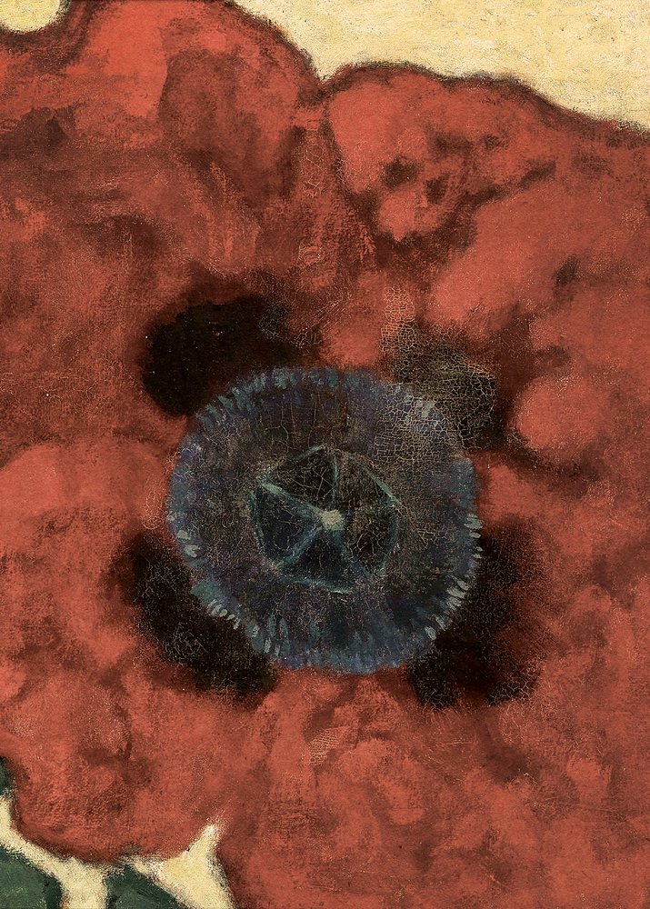 Mohnblume von Artur Nikodem