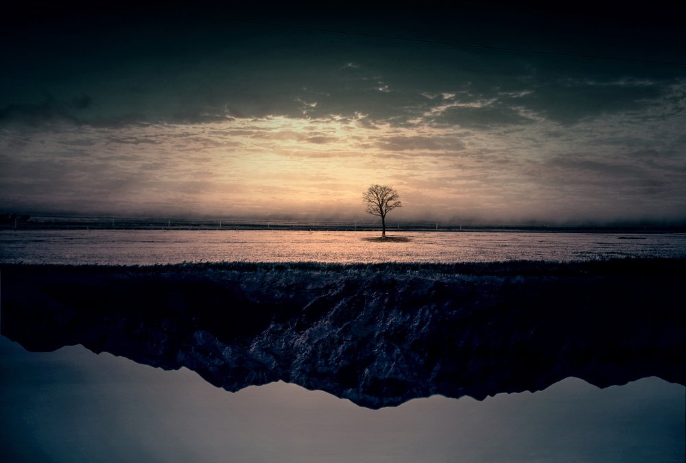 Einsamer Baum Spiegelung von Asef Azimaie