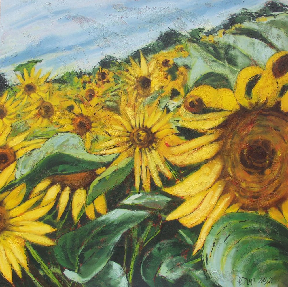 Goldenes Sonnenblumenfeld von Barbara Piatti