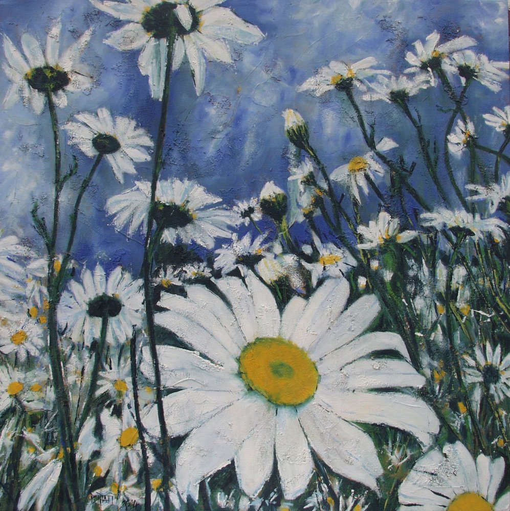 Weißes Gänseblümchenfeld von Barbara Piatti