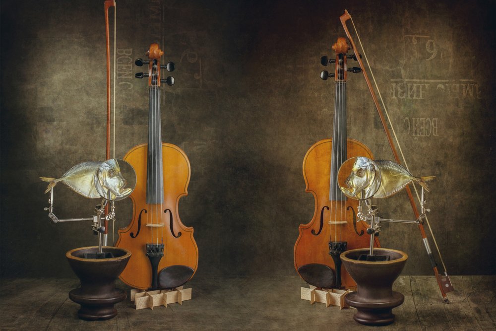 Konzert von Brig Barkow