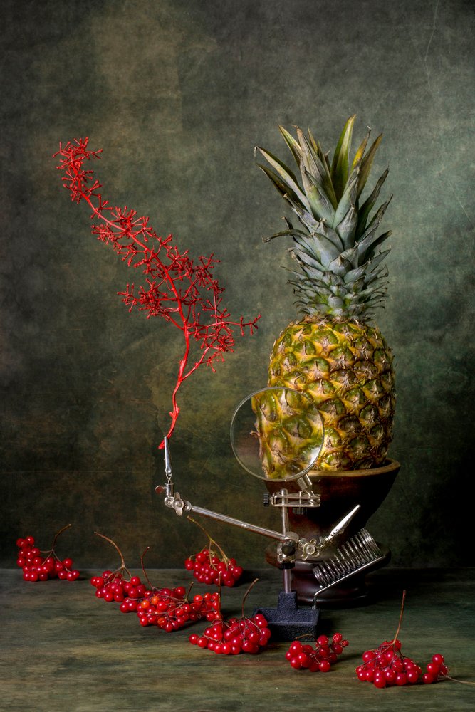 Vergrößerte Ananas Stillleben von Brig Barkow