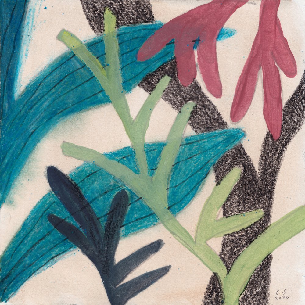 Bunte abstrakte Laub von Catalina Somolinos