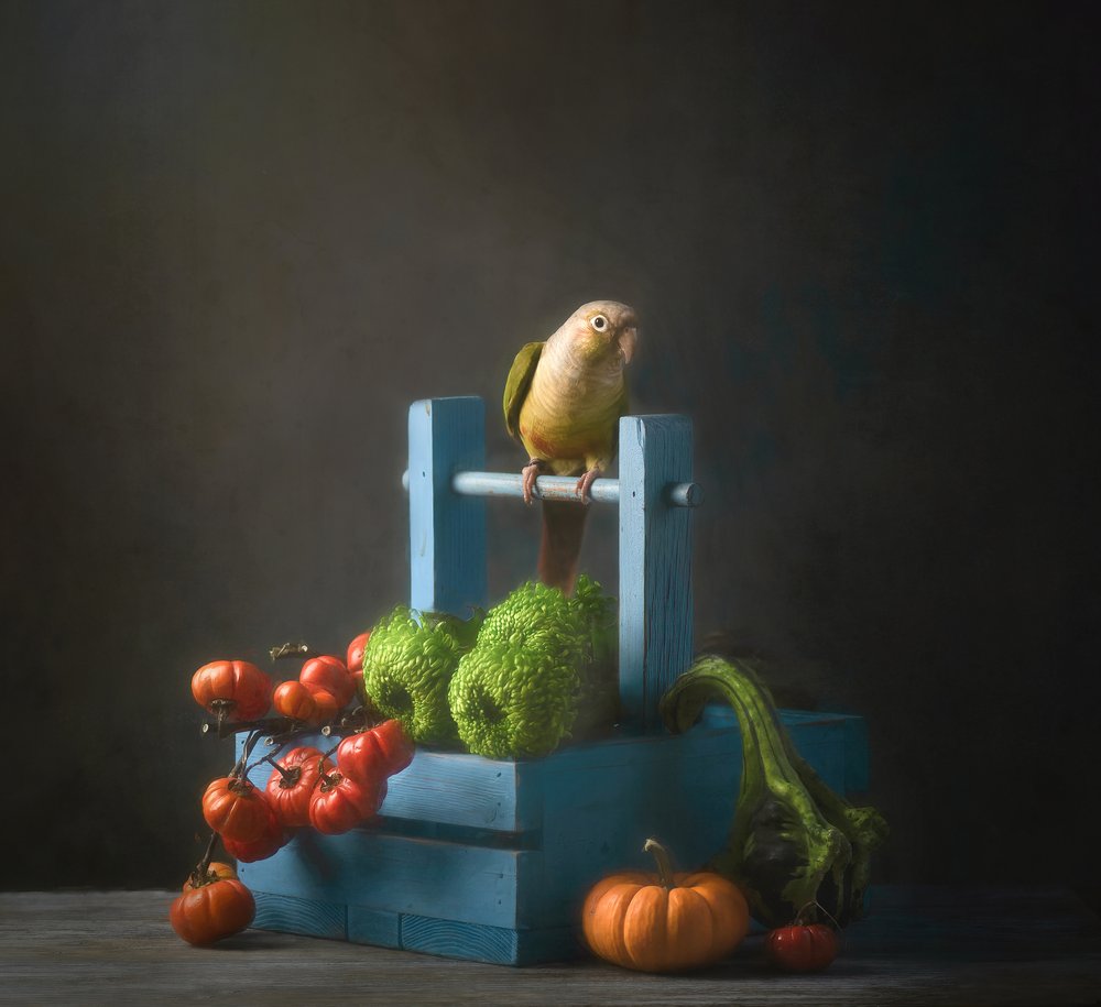 Herbstpapagei Stillleben von Catherine Wang
