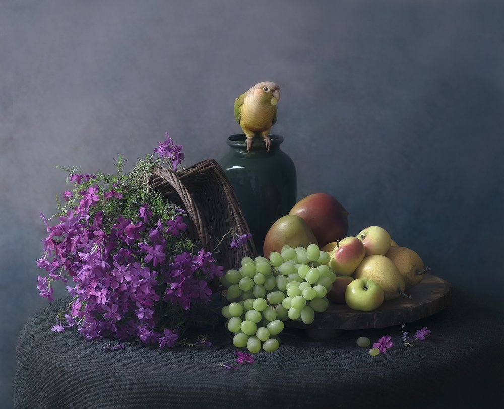 Stillleben mit Papagei von Catherine Wang