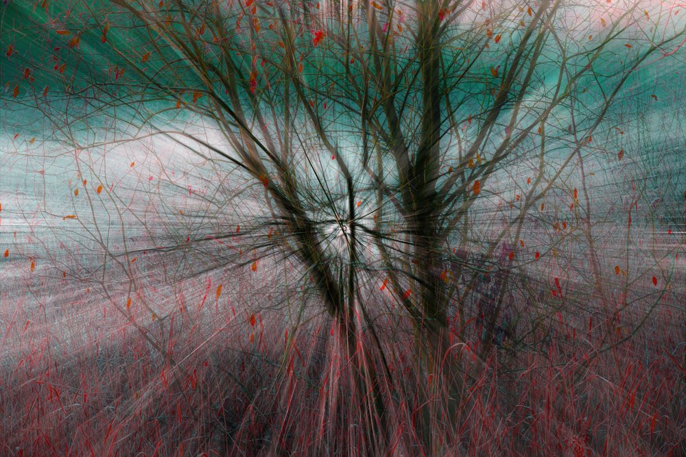 Naturausbruch von Chris Hamilton