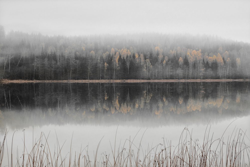Nebliger Herbstsee von Christina Sillen