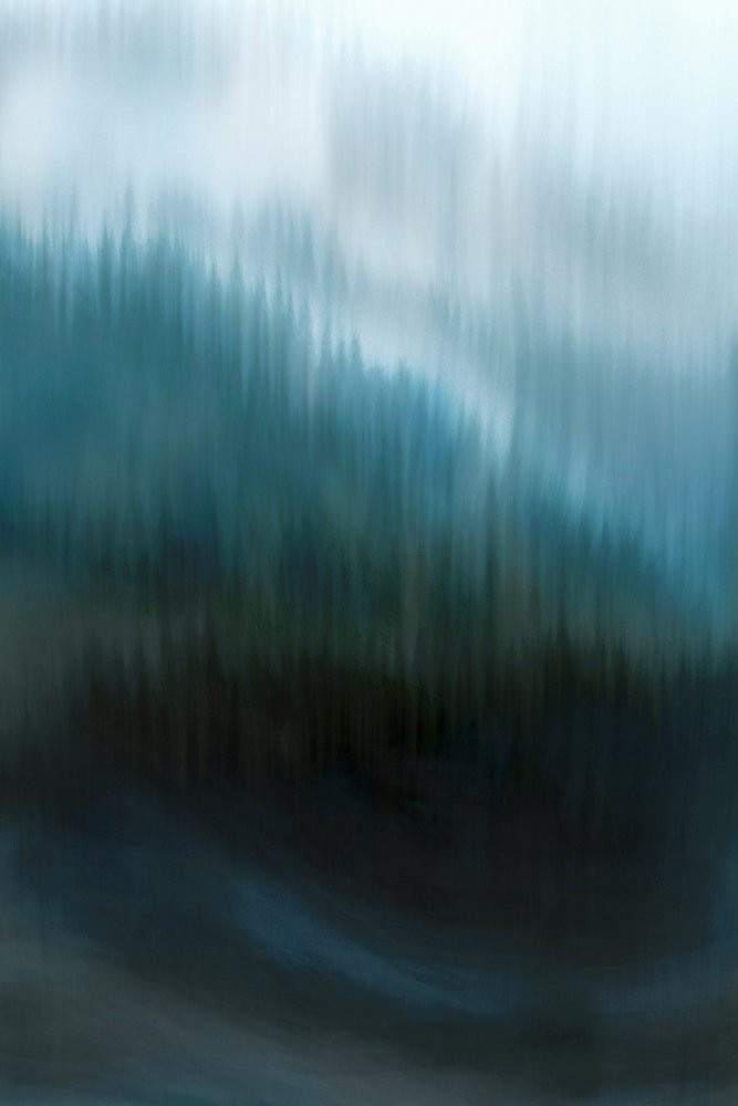 Nebliger blauer Wald von Christina Sillen