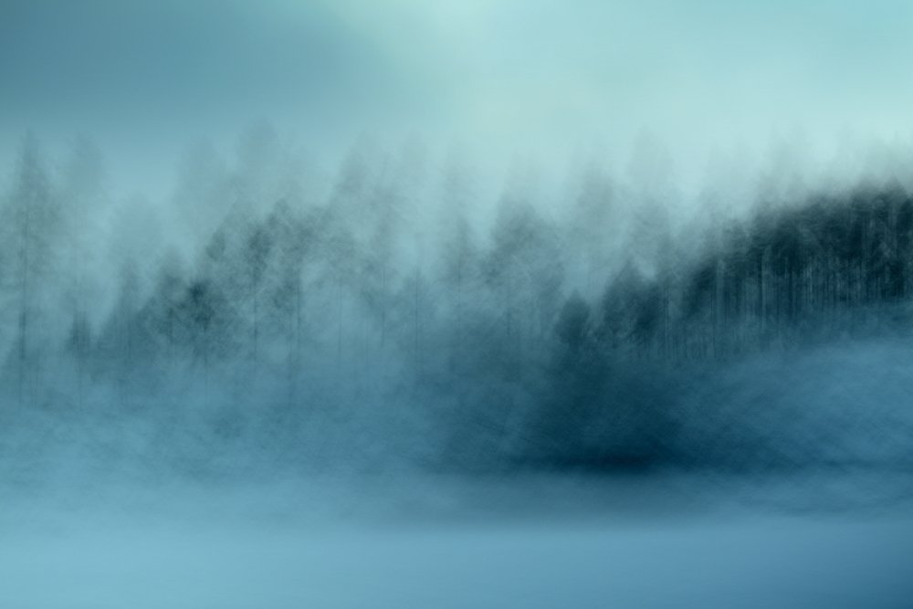 Nebliger Blauer Wald von Christina Sillen