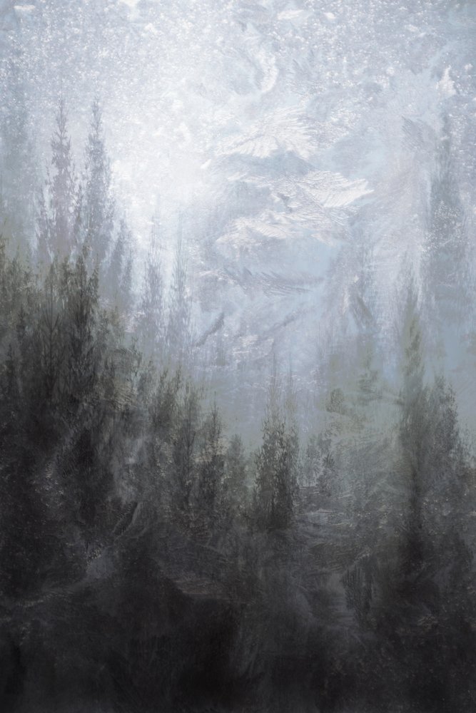 Nebliger Winterwald von Christina Sillen