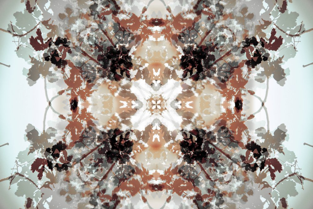 Gedämpftes botanisches Kaleidoskop von Christina Sillen