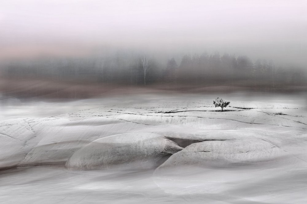 Einsamer Winterbaum von Christina Sillen