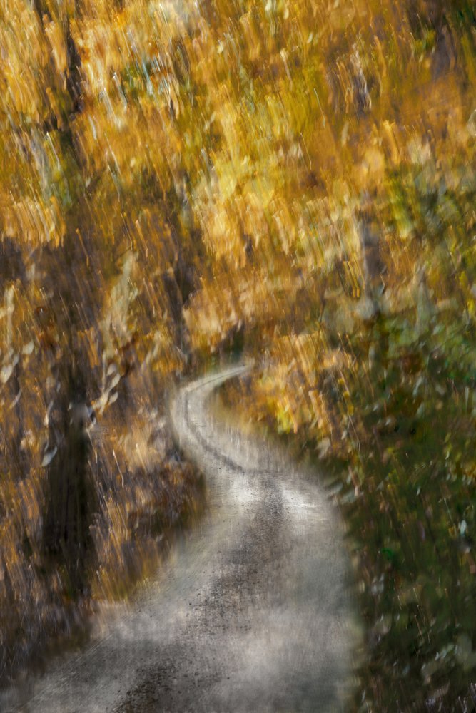 Windender Herbstpfad von Christina Sillen