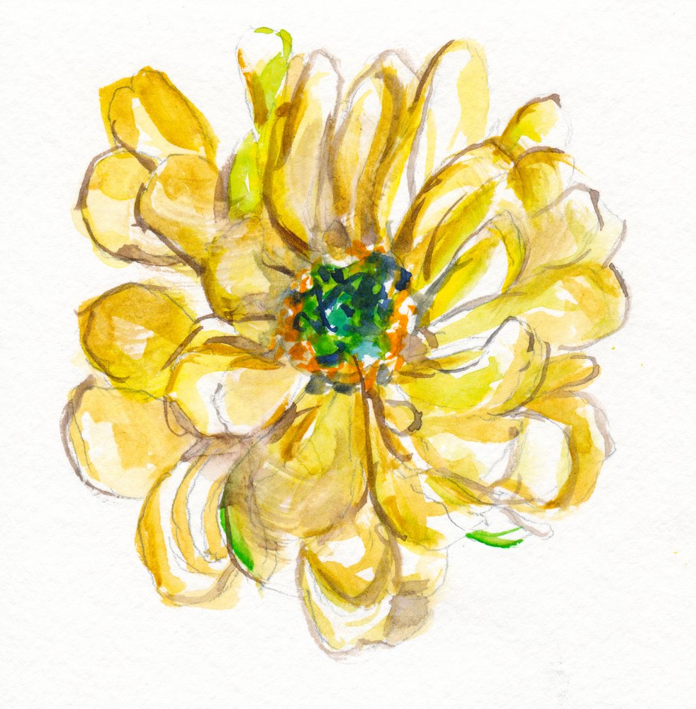 Zarte gelbe Blüte von Christine Lindstrom