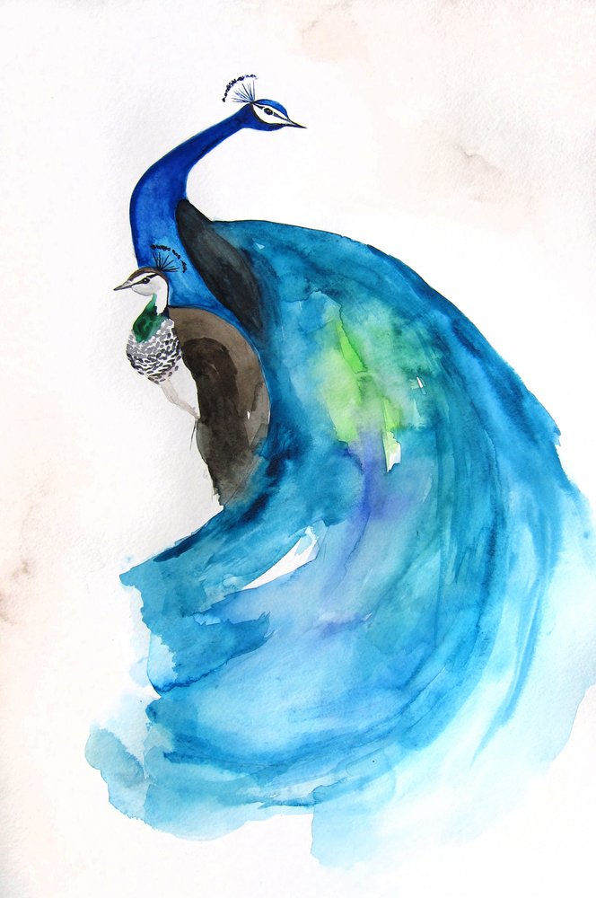 Majestätischer Blauer Pfau von Christine Lindstrom
