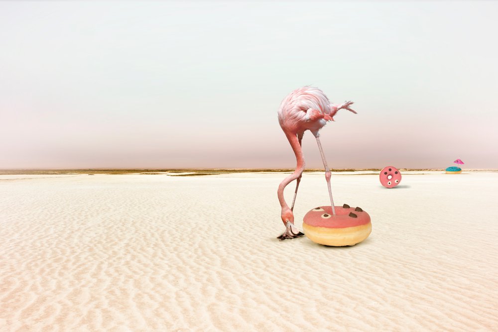 Pinker Flamingo Donut Traum von Christine von Diepenbroek