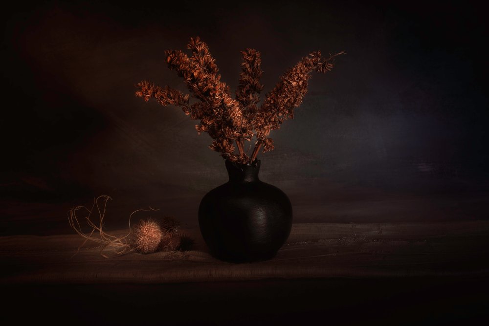 Stimmungsvolle getrocknete Botanicals von Cicek Kiral