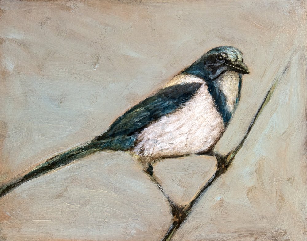 Ruhige Elster auf Zweig von Claire Lerner